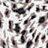Popvil Leopard Print Briefs Panties